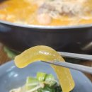 향원 - 해남군 구교2길 33 | 향원