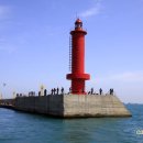 고래농장 이미지