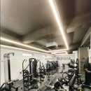Gym BX4 네이버블로그