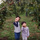 다온농원 이미지