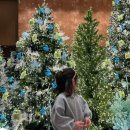 라라스테이B | 겨울 가족여행 추천/예산 덕산 스플라스 리솜 플렉스타워 S30 클린B 후기 객실 조식 주차 워터파크 온천