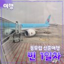 한누리마트 | 동유럽 [신혼여행] 오스트리아 빈 // 결혼후기 대한항공 직항 기내식 호텔 자이트가이스트
