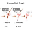제일큰약국 이미지