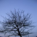 산골막국수 이미지