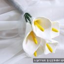 문화점핑