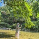 주차장 옆 | 안양수목원주차장 옆 안양계곡 다녀온 솔직 후기 🏞️