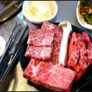 하누돈 실비 이미지