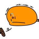 스시쵸우