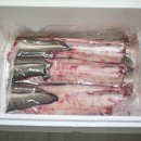 풍천장어 이미지