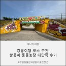 영산강사슴·곰농장 | [강릉여행] 아이와 함께 동물 먹이주기 체험부터 놀이기구까지 타는 '쌍둥이 동물농장'
