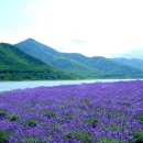 마부위침 이미지