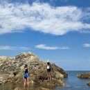 진우메디칼 | [2025.07.18 ~ 2025.08] 7월부터 8월 초까지의 한여름 일상들