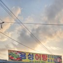 용성공설시장 네이버블로그