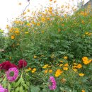 박달1동경로당 이미지