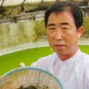 이상진농장 이미지