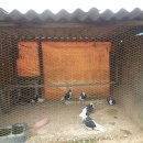 운장산가든 이미지