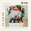 꽃자락 | 경산 옥곡동 꽃집 꽃자락 카네이션 후기