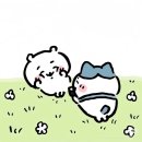 티마스터게임 유한회사 | 독립과 자유보다 소중한 것은 없다