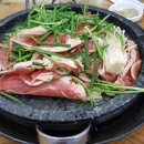 오리궁뎅이 이미지