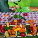 참다운농장 이미지