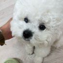 광산구-157 | DUMP-!