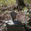 물오름달 이미지