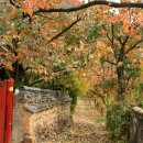 청도감마을 이미지