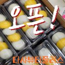 다샤뷰티플러스 이미지
