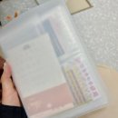[프롬마레네일] 쨍한 컬러 스티커 여름페디 잘하는 곳 부산 명지 네일샵