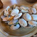 너구리의 피난처 이미지