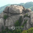 녹색관광정거장 이미지
