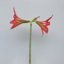 스플래쉬 이미지