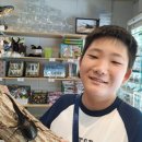 내정중학교 이미지