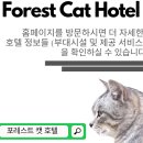 포레스트 캣호텔 이미지