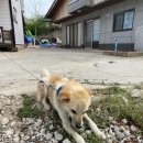 대원자동차서비스 이미지