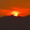 나비공원　 이미지