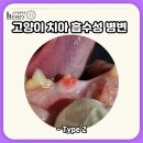 앙리동물병원 이미지