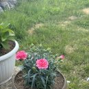 신북방앗간 이미지