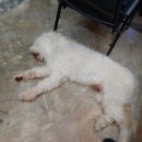 신비무역 이미지