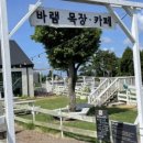 새물목장 네이버블로그