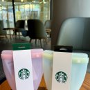 같이푸드 | 스타벅스 스프링 실리콘 푸드백 세트 출시 귀여운 실물 후기