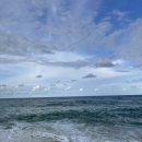 GOGO당구장 이미지