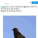 조성클라스 이미지