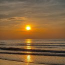 다상농장 | 코타키나발루 인기 투어 6가지 총정리 예약부터 후기까지