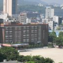 부림초어린이보호구역 이미지