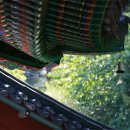 풍경소리 이미지