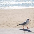 동래시외버스터미널 이미지