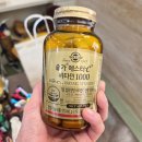 종합건강백화점 | 헬스사이언스 솔가 에스터C 비타민 1000 명절 부모님선물 맞춤영양제 초록입 오메가3 현대백화점목동점