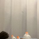 무실한의원 | 목 통증 / 무실한의원 추나요법 후기