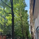 길 호스텔 이미지